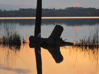 /album/galleria-fotografica/chiusi-siena-il-lago-jpg/